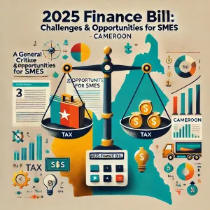 2025 Finance Bill of Cameroon