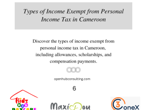 Types of Income Exempt from Personal Income Tax in Cameroon