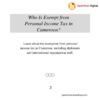 Who Is Exempt from Personal Income Tax in Cameroon?