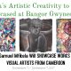 Bangor Art Initiative