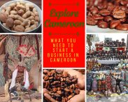 Starting a Business in Cameroon – What It Takes