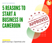 5 Reasons To Start A Business In Cameroon