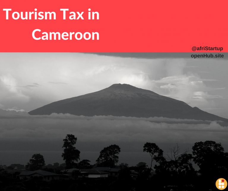 How to Obtain the Taxpayer Identification Number in Cameroon OpenHub