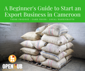 A Beginner's Guide to Start an Export Business in Cameroon