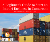 A Beginner's Guide to Start an Import Business in Cameroon