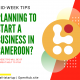 Start a business in Cameroon