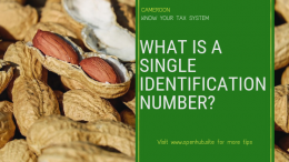 Cameroon Tax System: What Is A Single Identification Number
