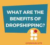 What Are the Benefits of Dropshipping