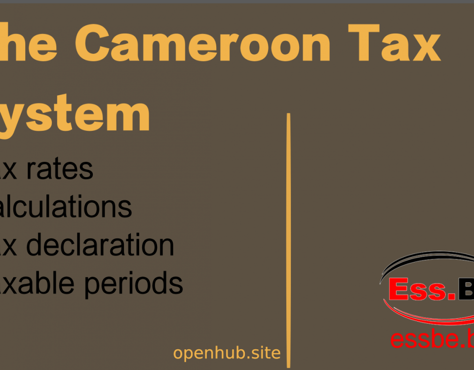 Cameroon tax system