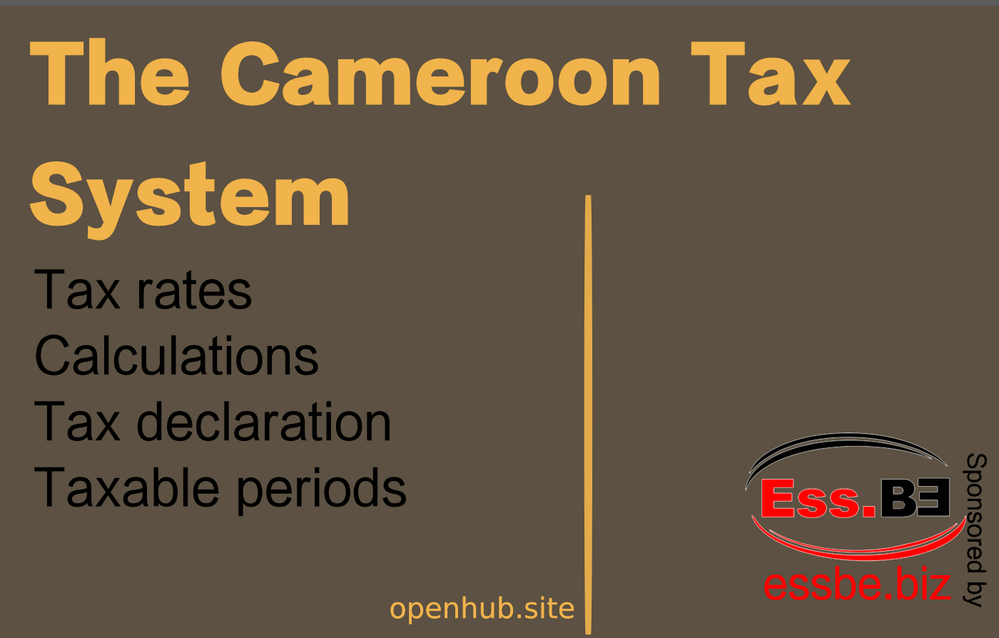Cameroon tax system