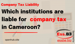 Company Tax in Cameroon – Who is Liable to Pay?