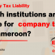 company tax in cameroon