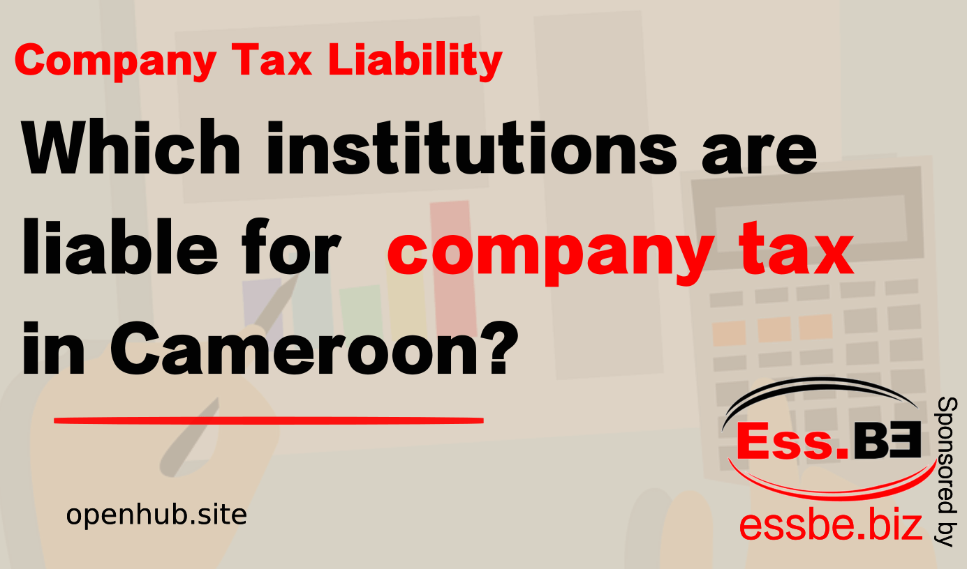 Company Tax in Cameroon Who is Liable to Pay? OpenHub Digital
