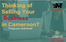 7 Things You Need to Know When Selling Your Business in Cameroon