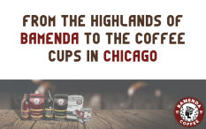 Bamenda Coffee – From the Highlands of Bamenda to the Cups in Chicago