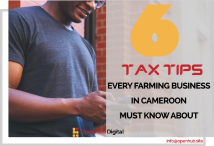 6 tax tips every agricultural business in Cameroon should know about