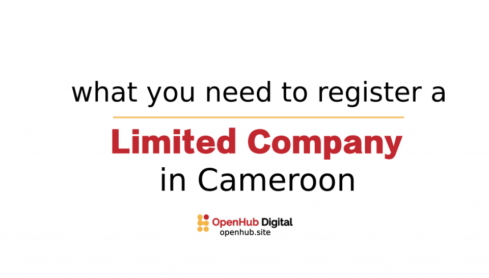 register a limited company in Cameroon