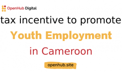 youth unemployment in Cameroon
