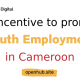youth unemployment in Cameroon