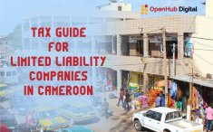 Tax Guide for Limited Liability Companies in Cameroon