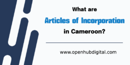 Apply to Incorporate a Company in Cameroon