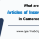 apply to incorporate a company in Cameroon