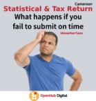 What happens if you fail to file the statistical & tax return on time?