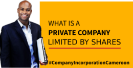What is a private company limited by shares?