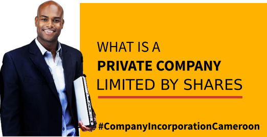 what is a private company?