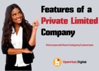 Characteristics of a private company