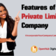 characteristics of a private company
