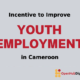youth employment