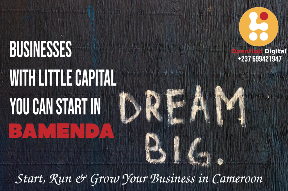 Business ideas to start in Bamenda