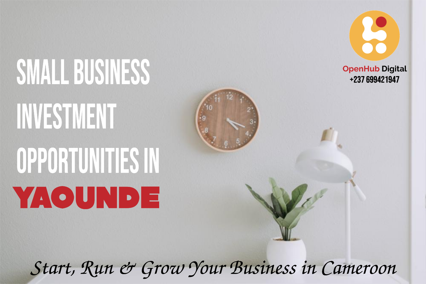 Small Business Investment Opportunities in Yaounde