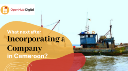 After you incorporate your business in Cameroon, what next?