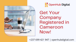 Create a New Company Today – Get Your Cameroon Based LLC Now