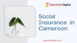 Social Insurance Overview in Cameroon