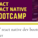 React / React Boot Camp