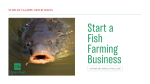 How to start a fish growing business