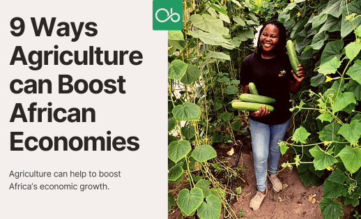 The Agricultural Sector can Africa’s economic growth and development.