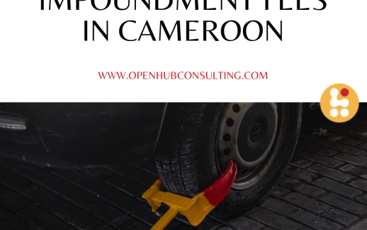 Impoundment Fees in Cameroon
