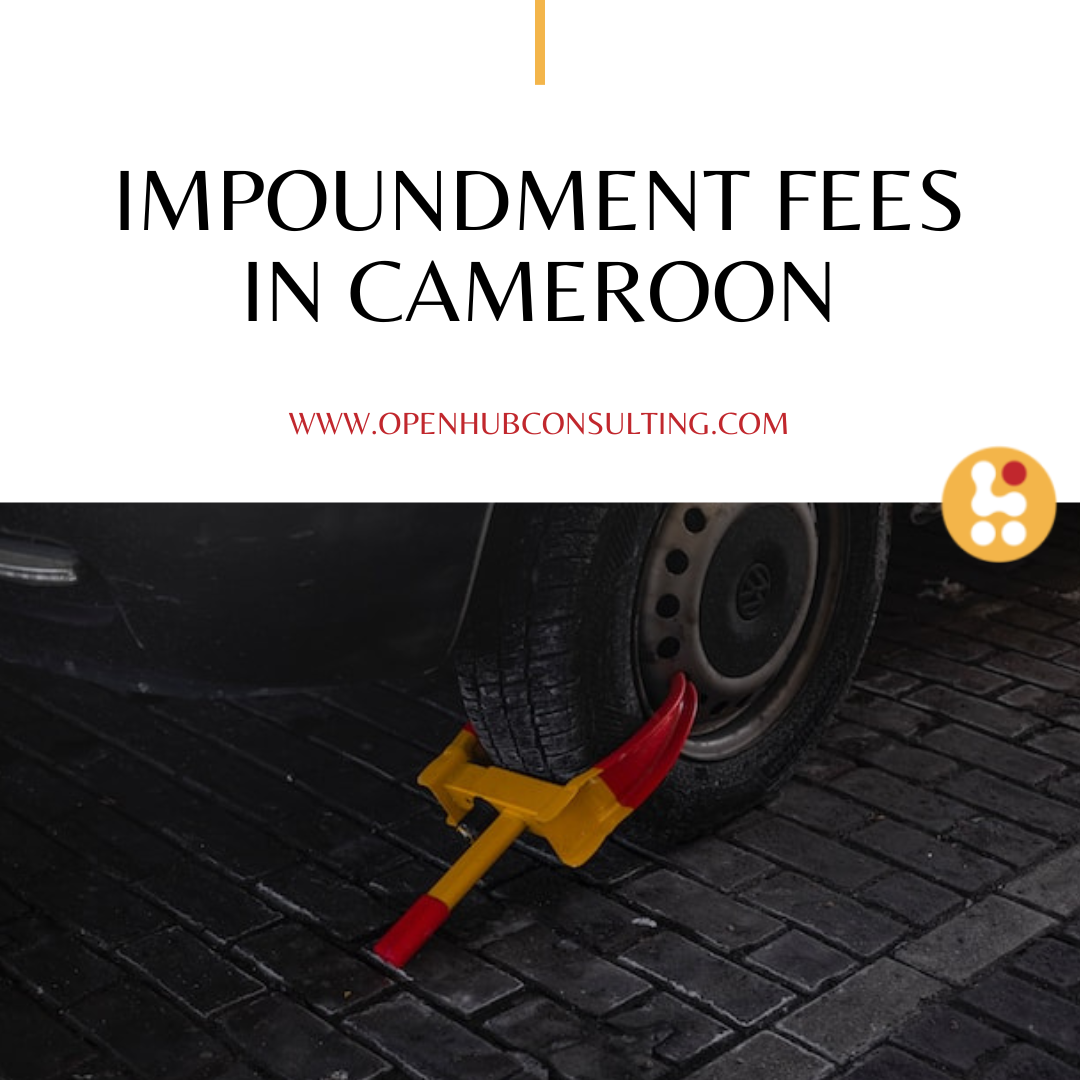 Impoundment Fees: Supporting Order and Enforcement in Cameroon
