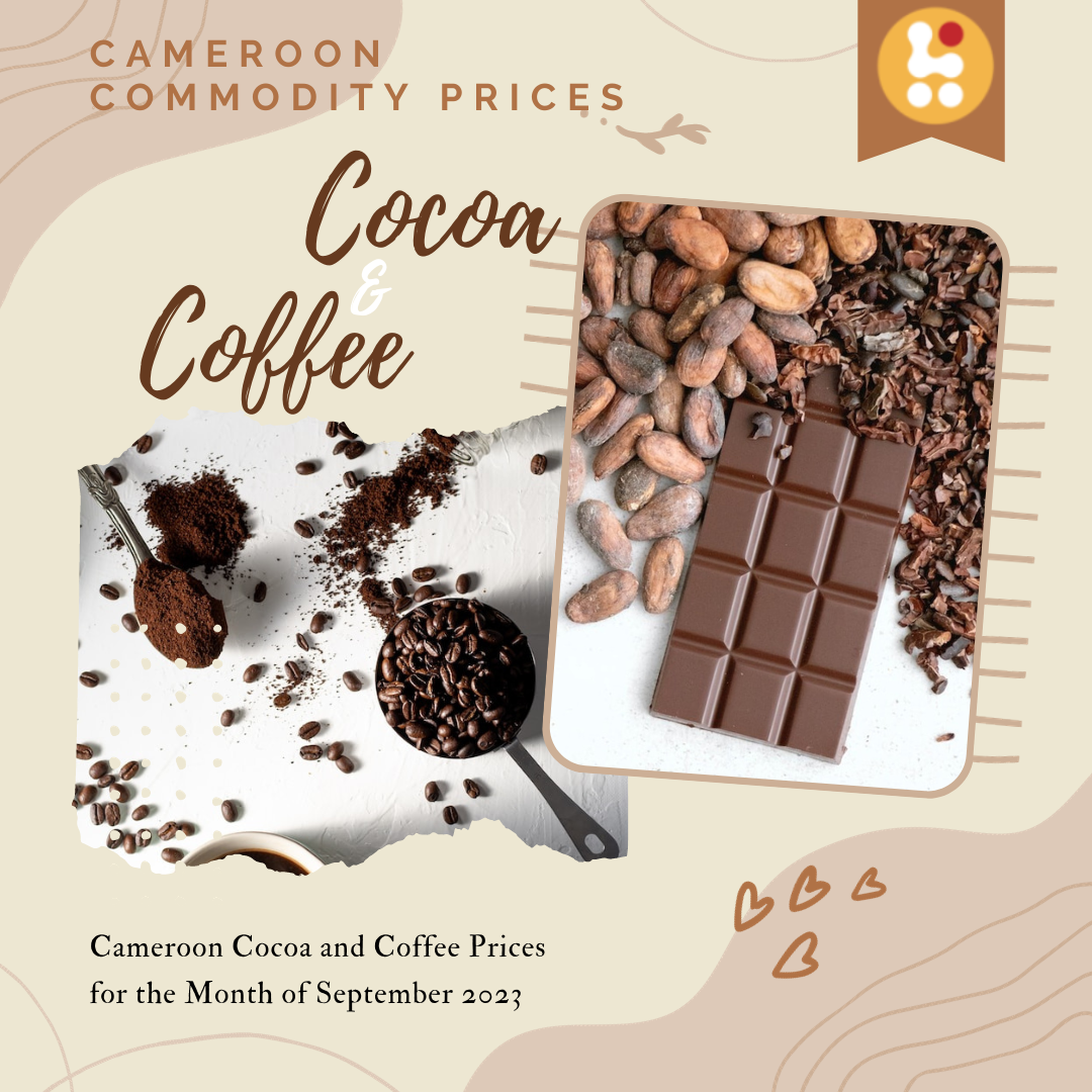 Cameroon Commodity Prices September 2023: Cocoa, Arabica & Robusta Coffee