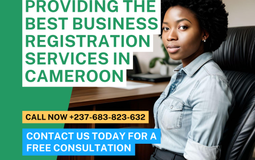 Business Consulting Services in Cameroon