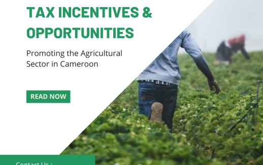 Promoting the Agricultural Sector in Cameroon: Tax Incentives and Opportunities