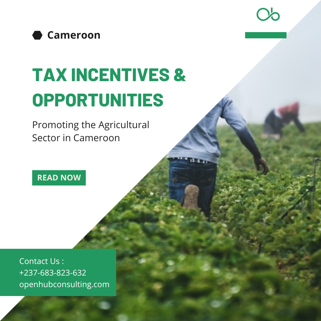 Promoting the Agricultural Sector in Cameroon: Tax Incentives and Opportunities
