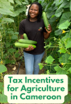 Tax incentives for Agriculture in Cameroon
