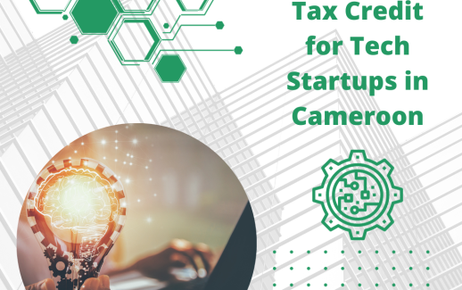Income Tax Credit for Tech Startups in Cameroon
