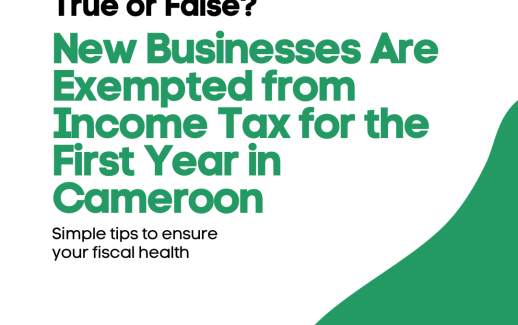 Tax Exemptions in Cameroon