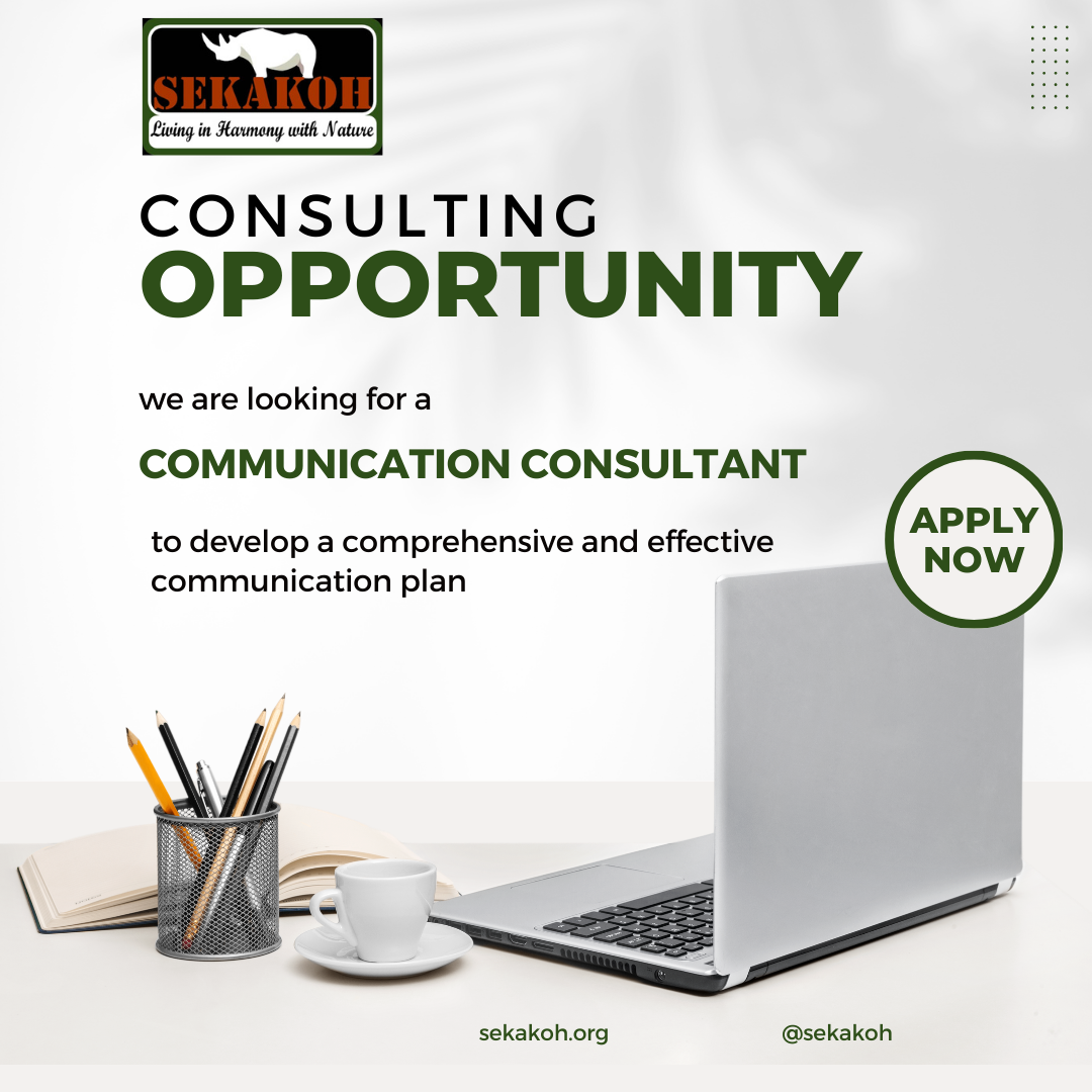 Consultant Opportunity: Communication Consultant